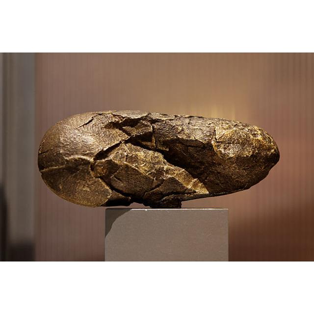 Oviraptor Eggshell , genuine Prehistoric Online