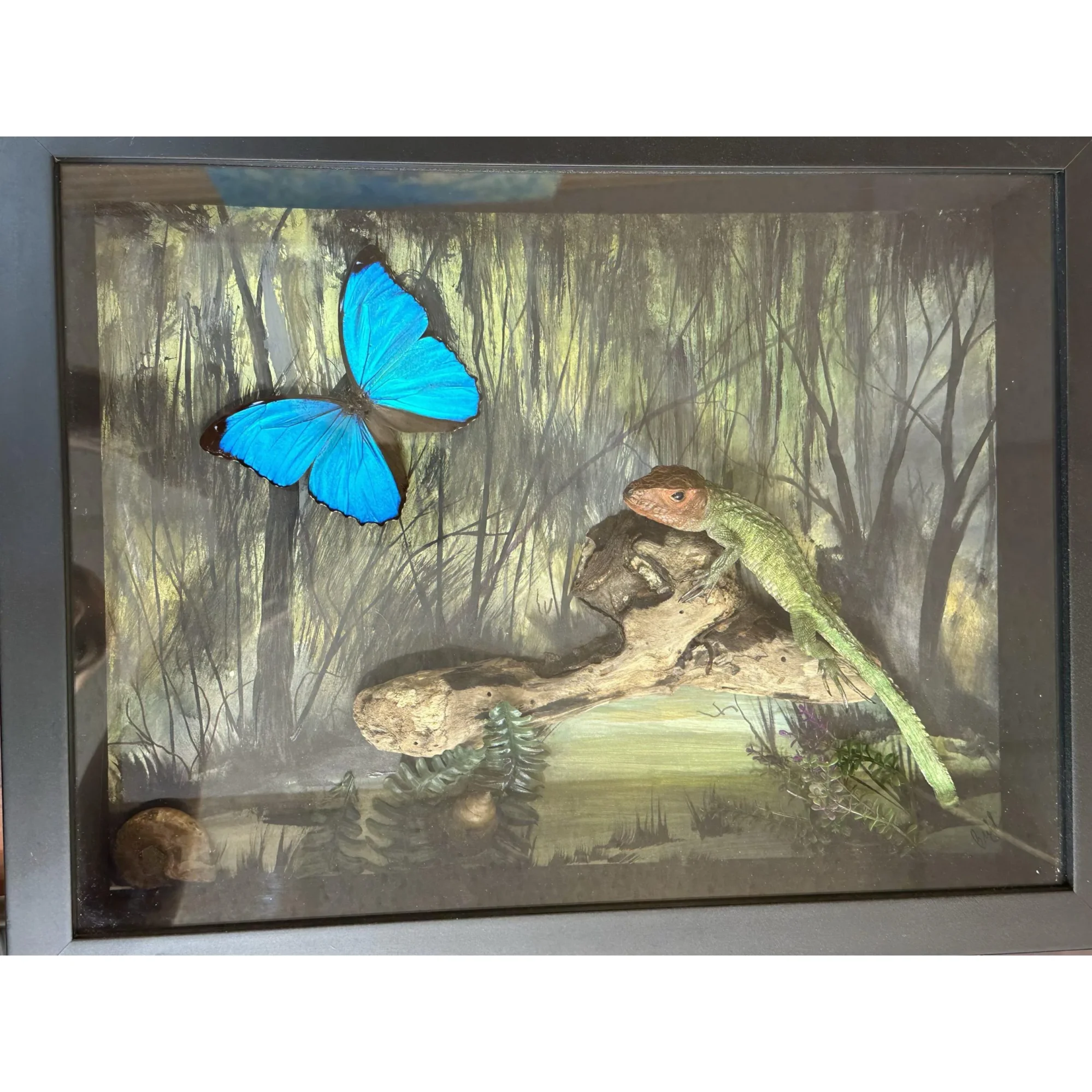 Caiman Lizard, Diorama Framed Art Prehistoric Online