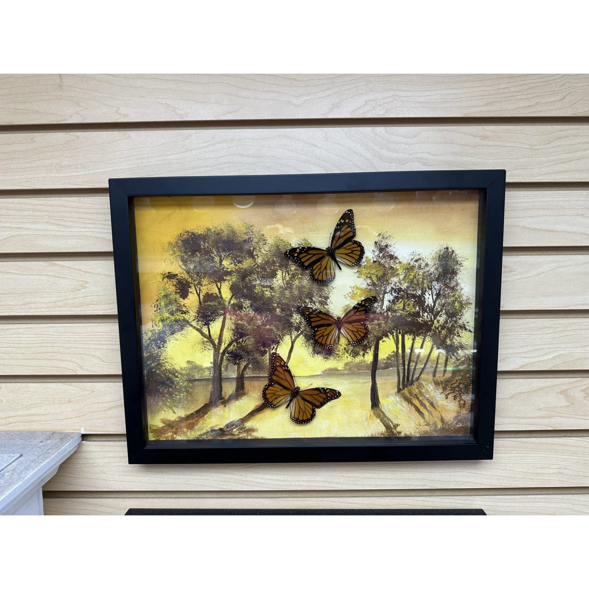 Diorama Framed Monarchs in flight Prehistoric Online