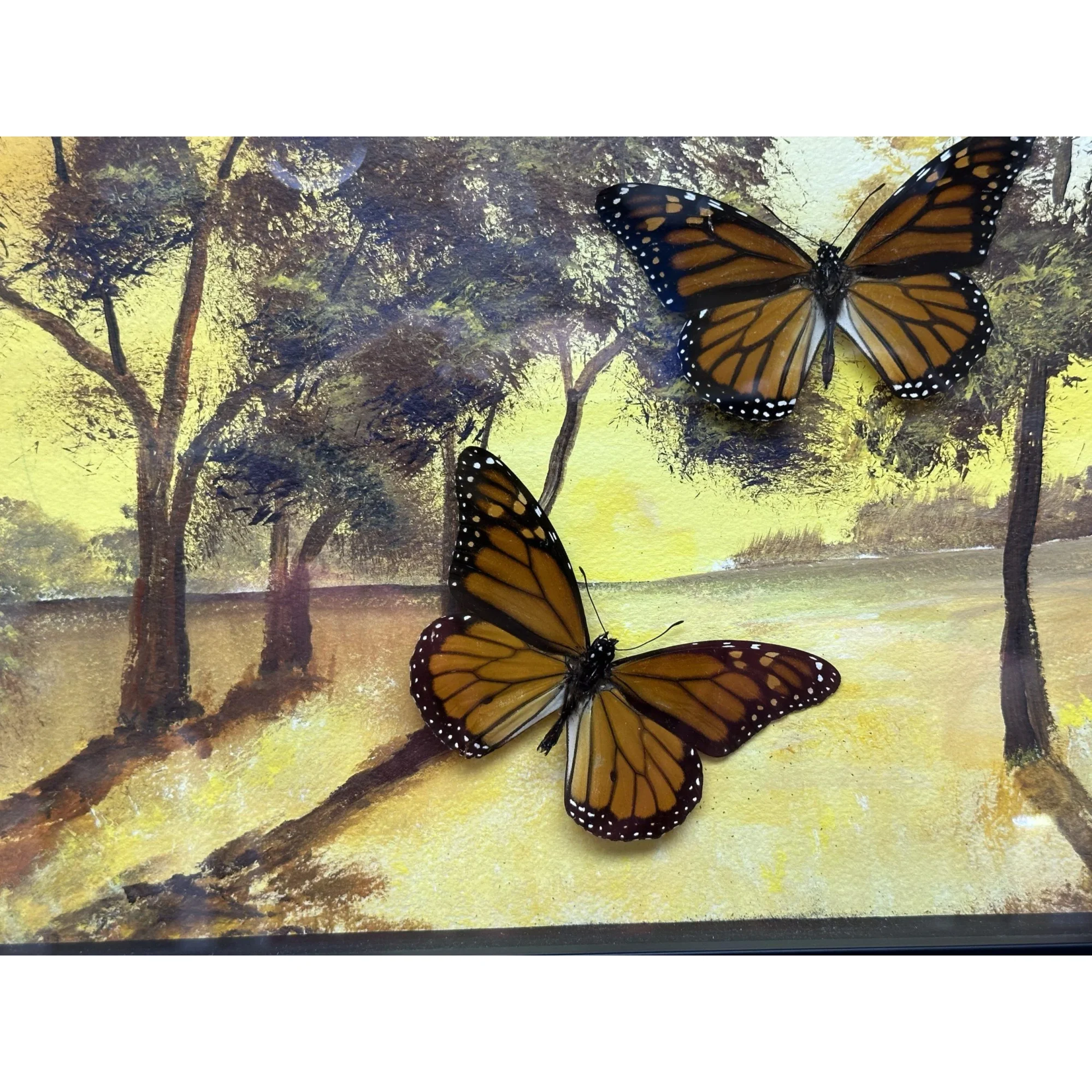 Diorama Framed Monarchs in flight Prehistoric Online