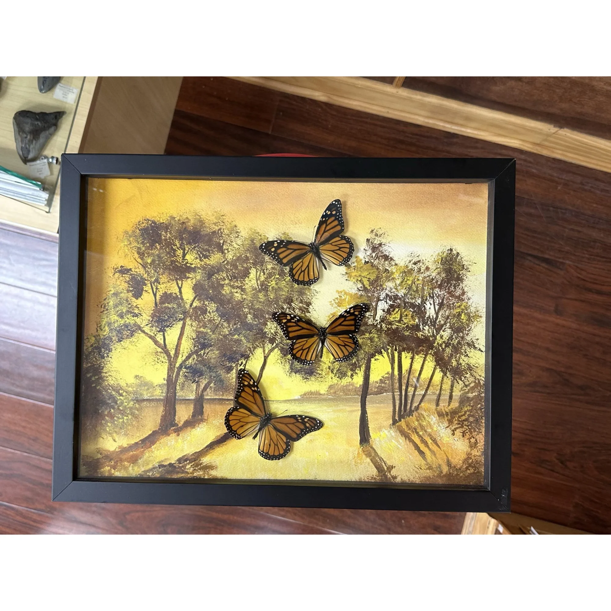 Diorama Framed Monarchs in flight Prehistoric Online