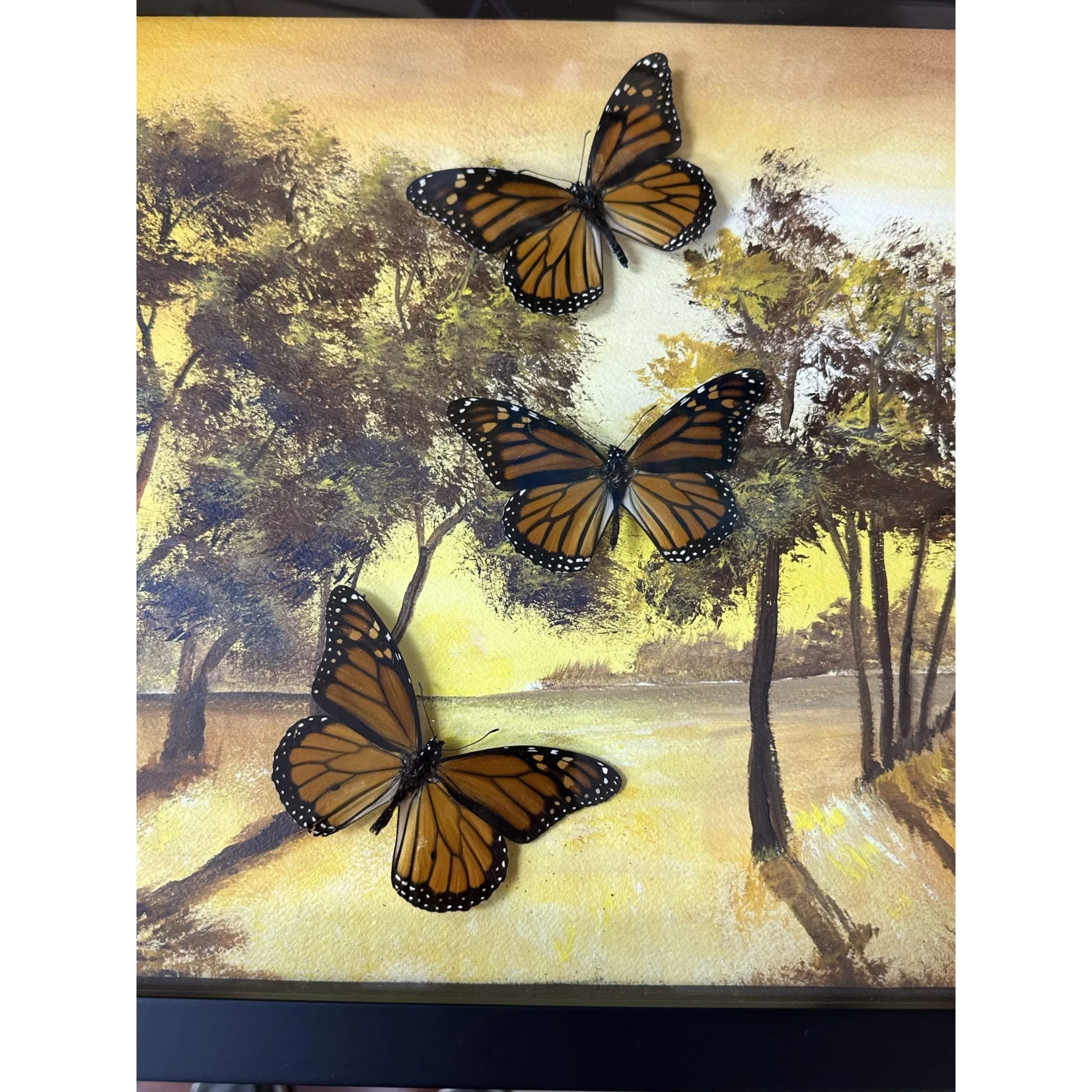 Diorama Framed Monarchs in flight Prehistoric Online