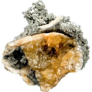 This is a picture of a mercenaria permagna that possesses a lot of big, yellow crystals.