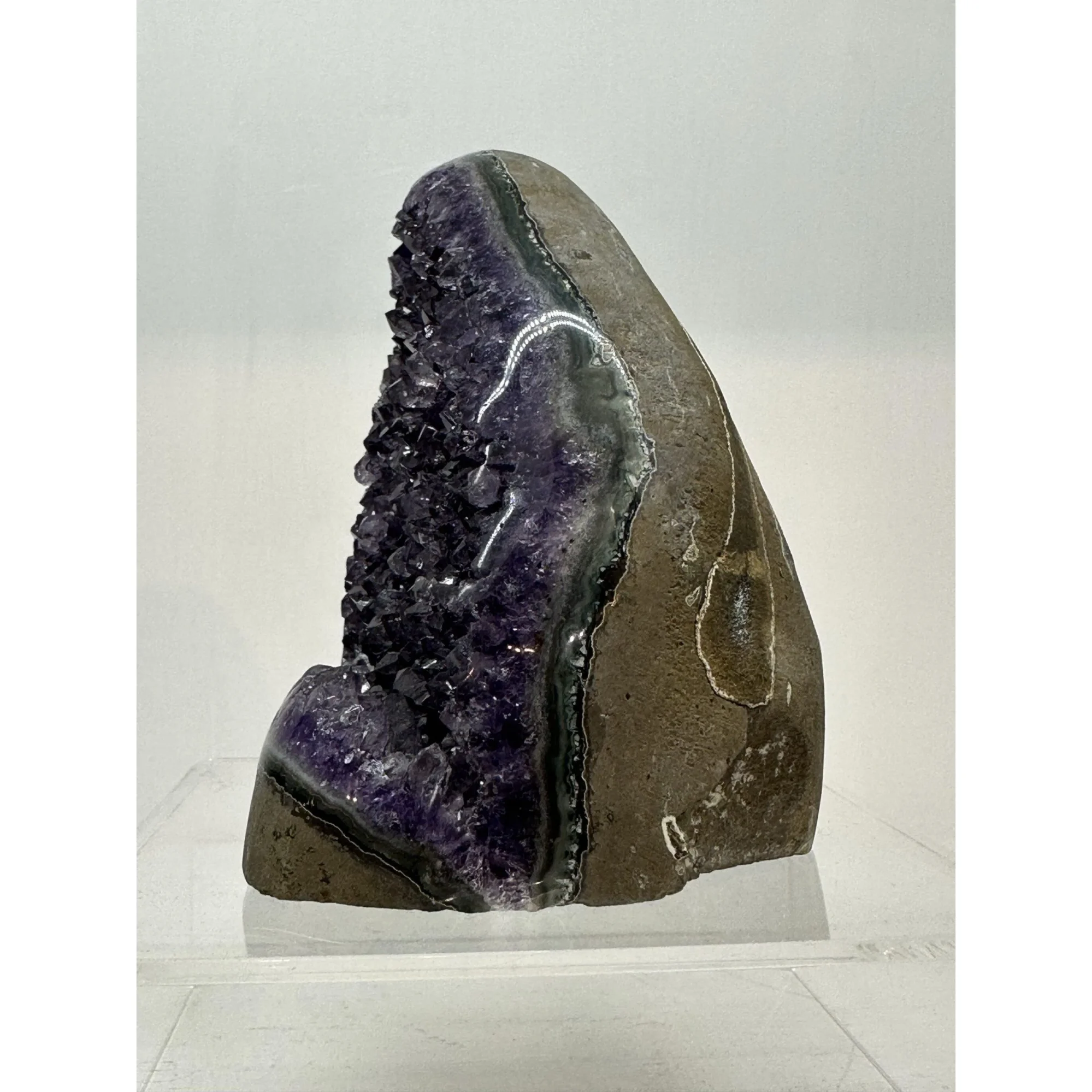 Amethyst Stand up, Uruguay Promotes Calm Prehistoric Online