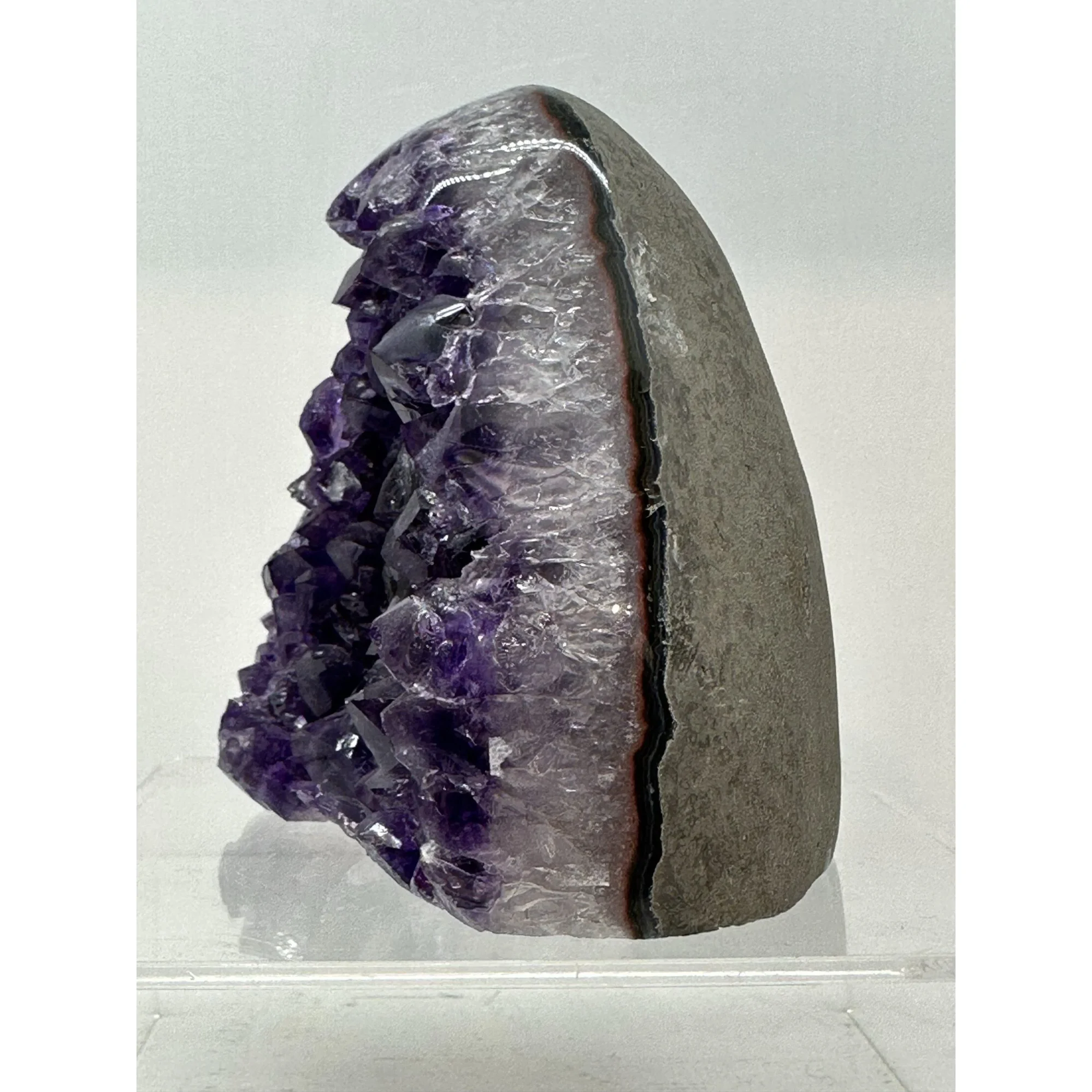 Amethyst Stand up, Uruguay Promotes Calm Prehistoric Online