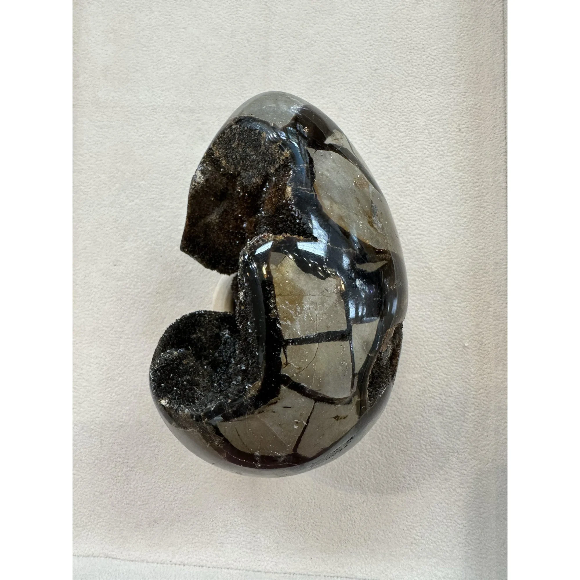 Septarian Dragon Egg – open chamber Prehistoric Online