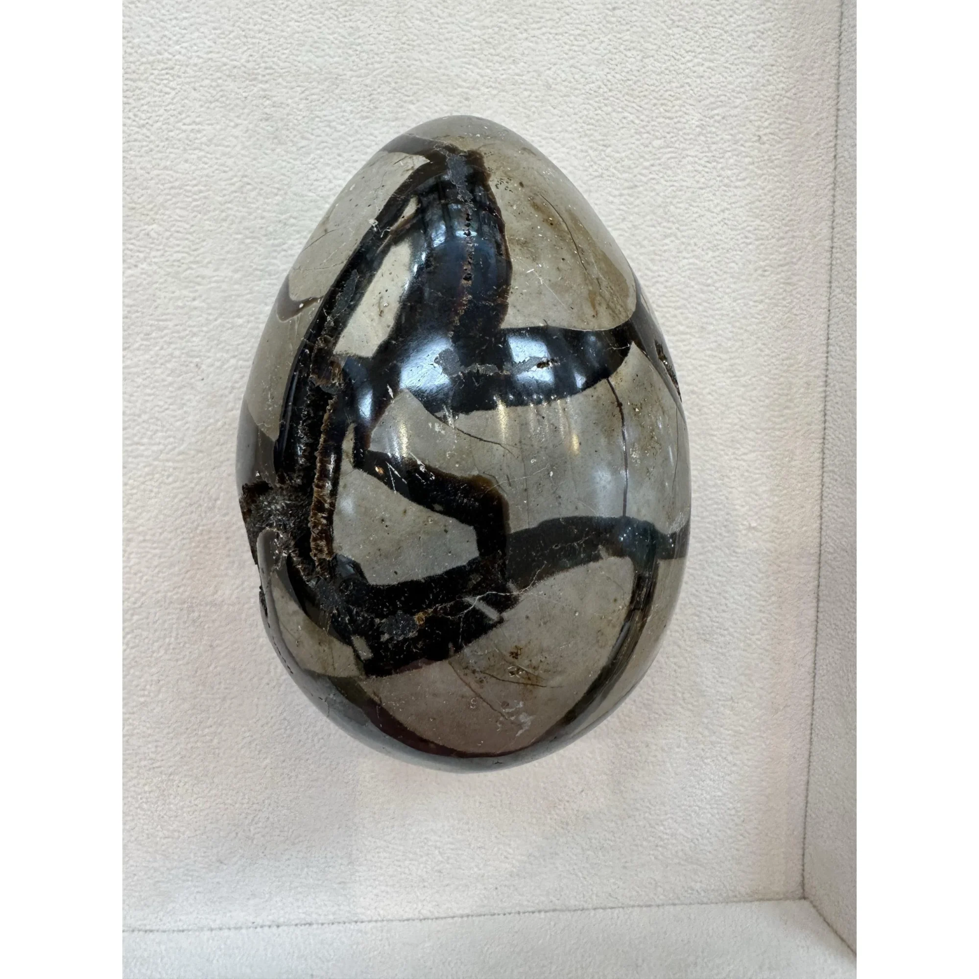 Septarian Dragon Egg – open chamber Prehistoric Online