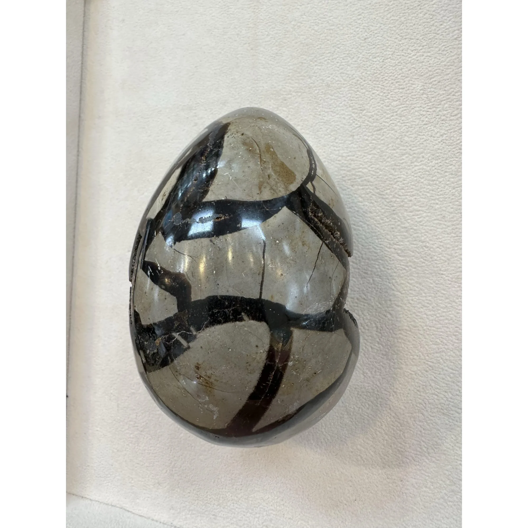 Septarian Dragon Egg – open chamber Prehistoric Online