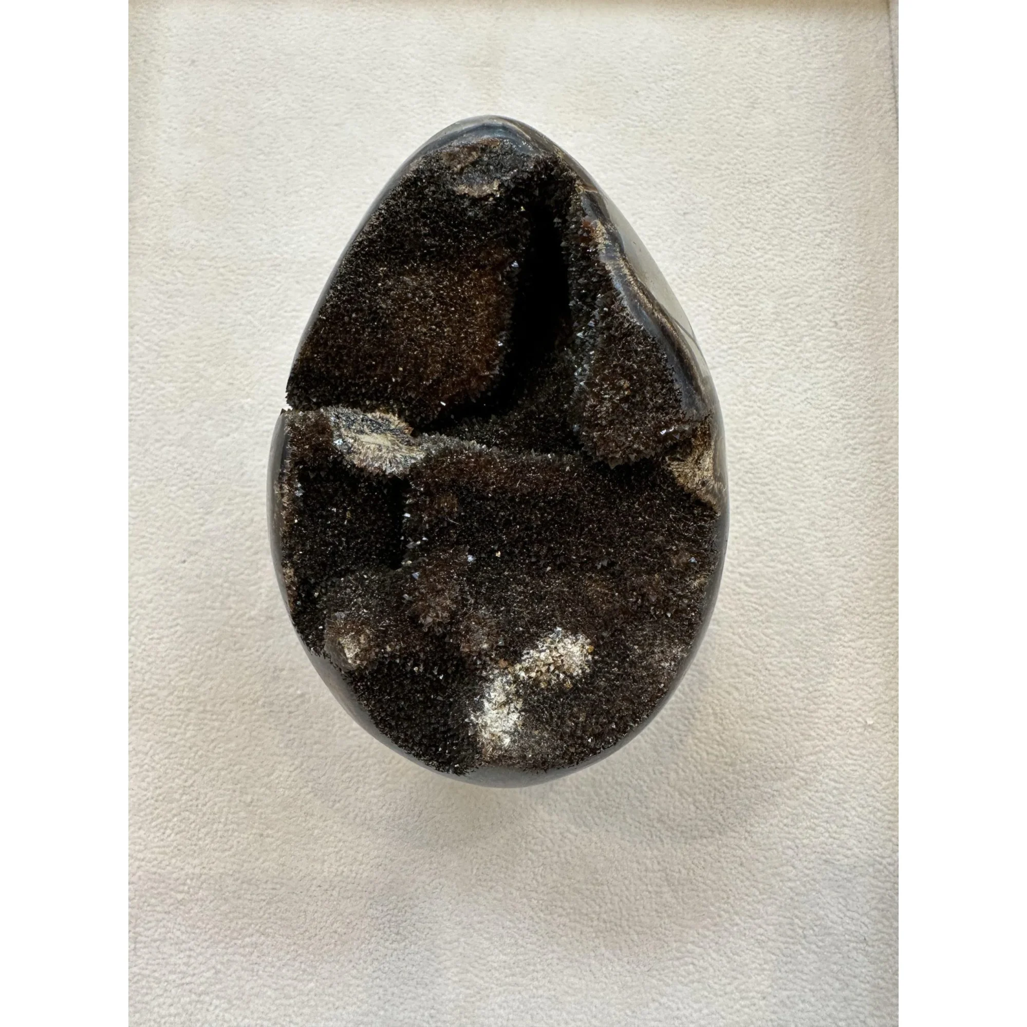 Septarian Dragon Egg –  3 1/2 inch Prehistoric Online