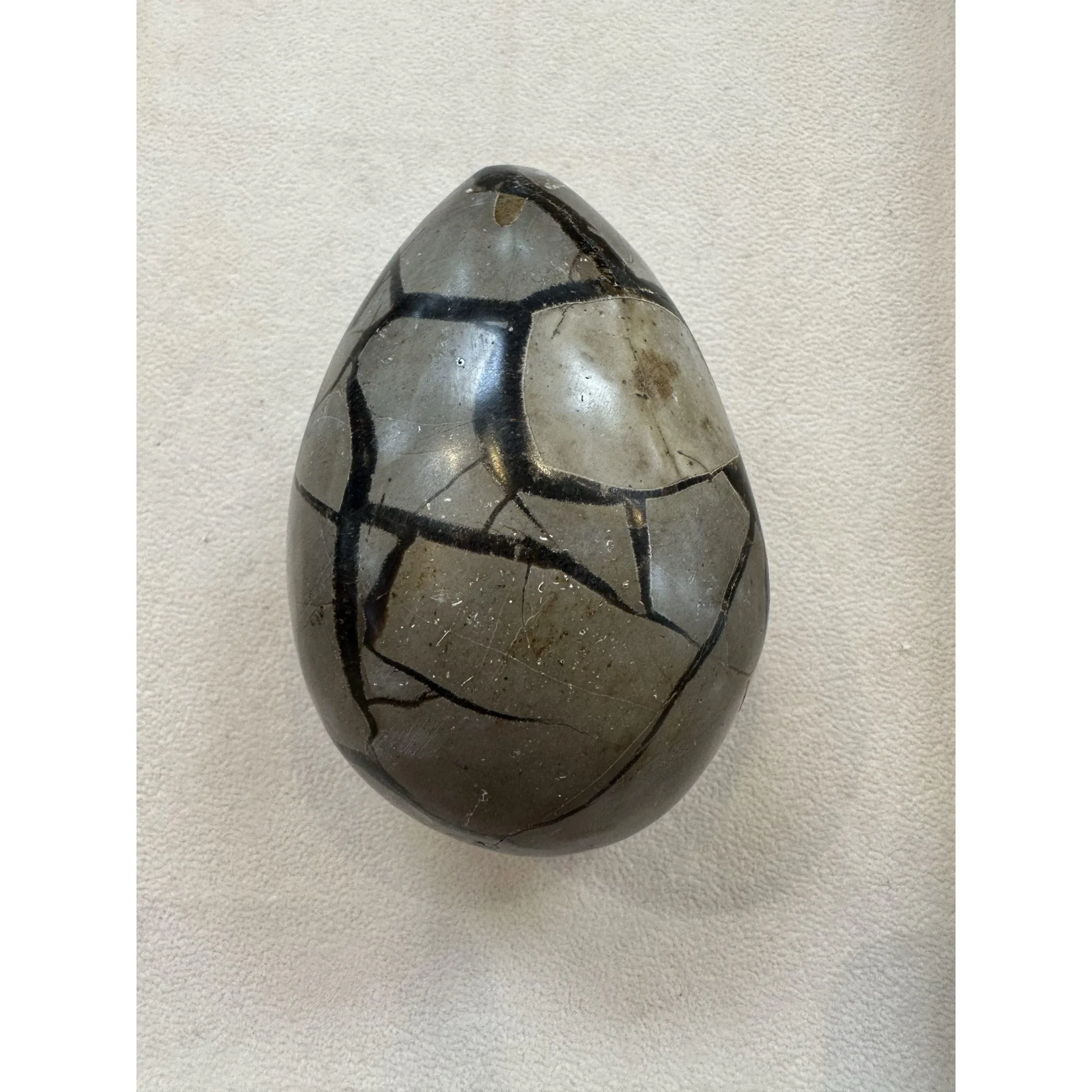 Septarian Dragon Egg –  3 1/2 inch Prehistoric Online