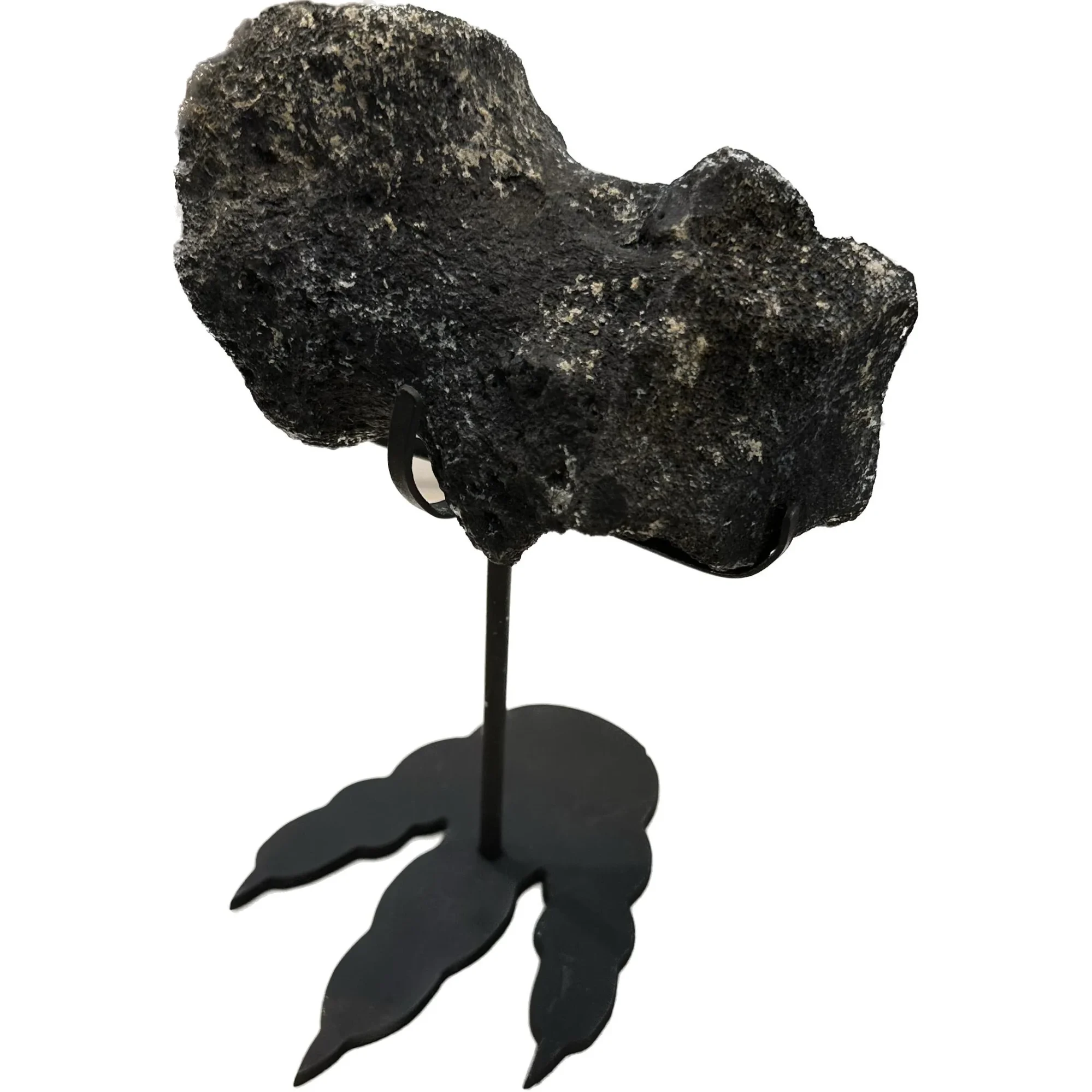 Dinosaur Footprint stand – Matte Black – 4 1/2 inch Prehistoric Online