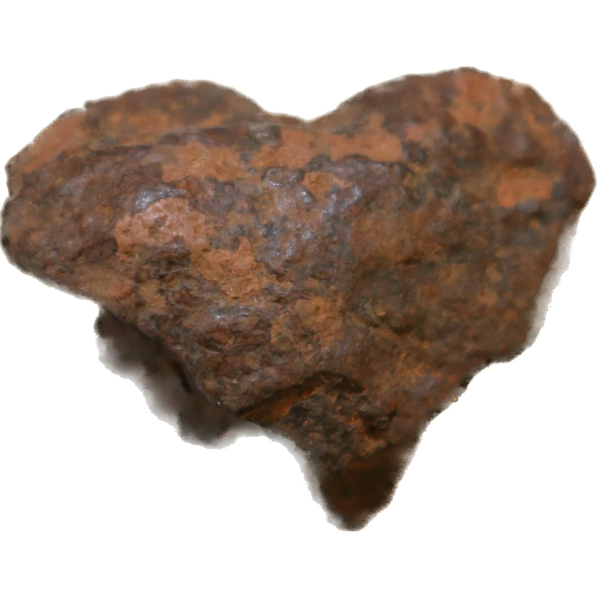 NWA Meteorite,  Unclassified Find 2005 Prehistoric Online