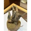 Alligator foot, nautilus Taxidermy Prehistoric Online