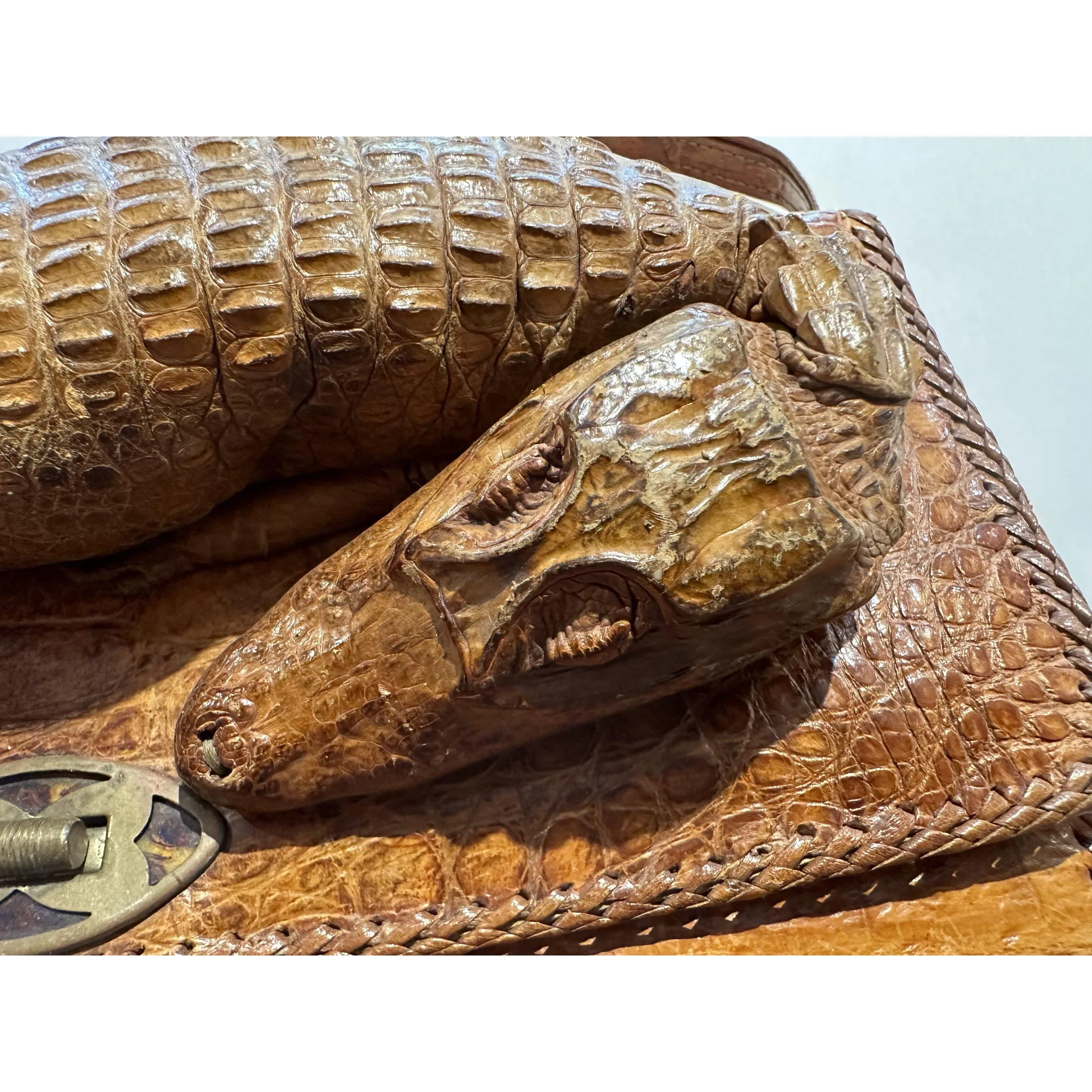 Buy Rarity Vintage Alligator Bag Crocodile Handbag Crocodile Alligator  Taxidermy Rarity Vintage Style Evening Bag Handbag Leather Online in India  - Etsy