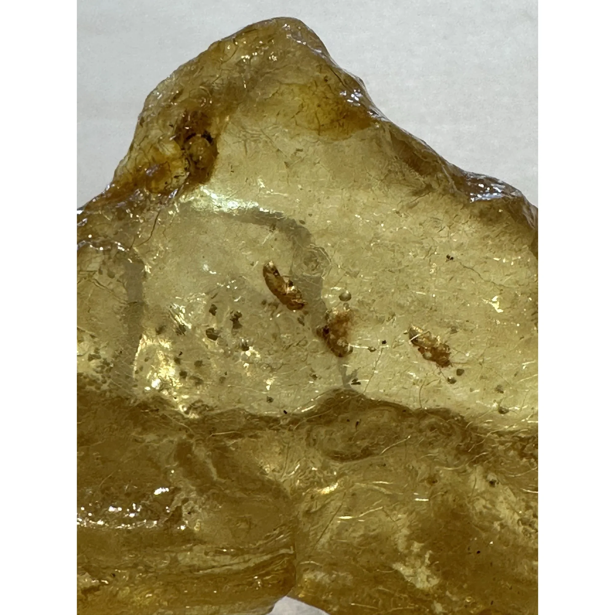 Copal Amber with Bugs Prehistoric Online