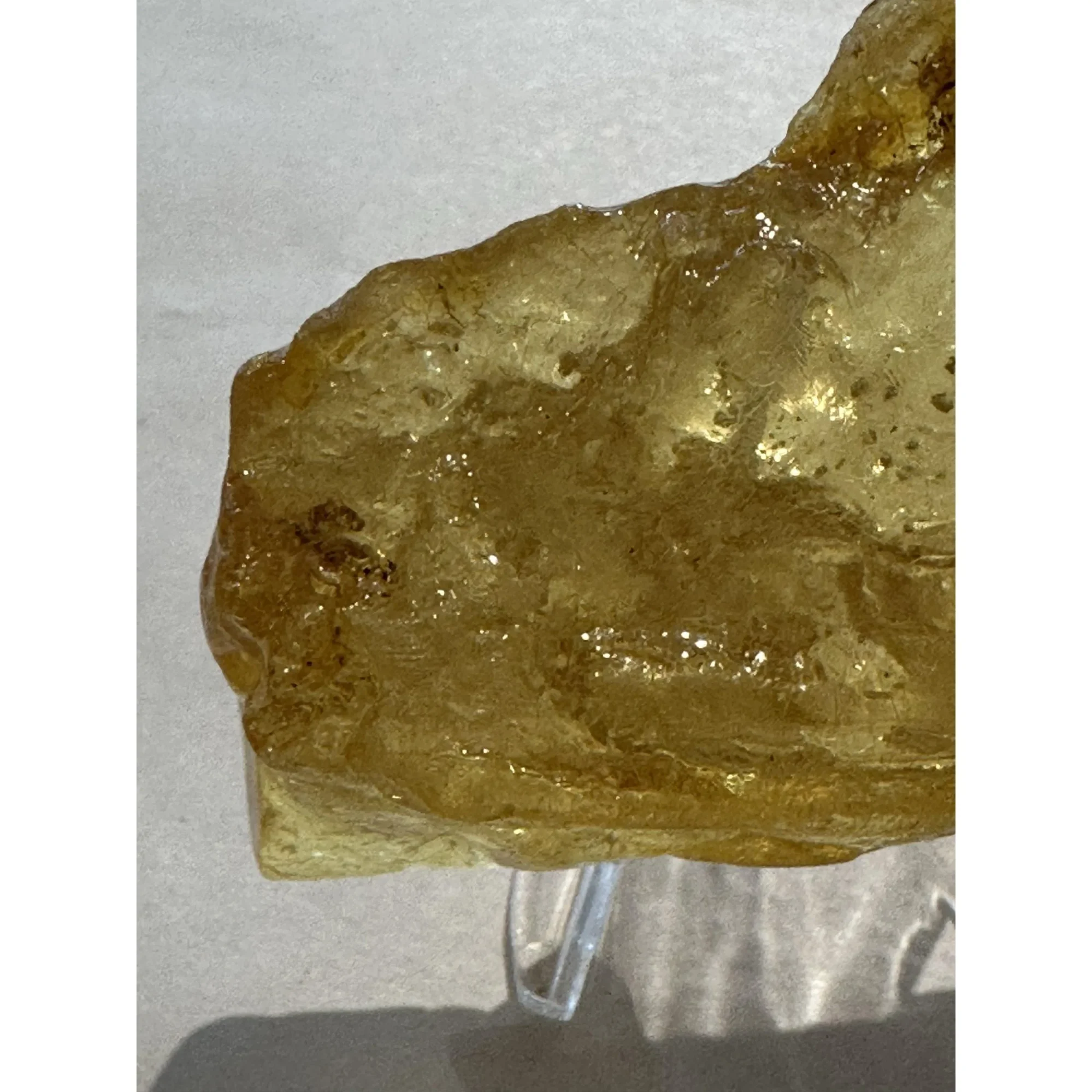 Copal Amber with Bugs Prehistoric Online