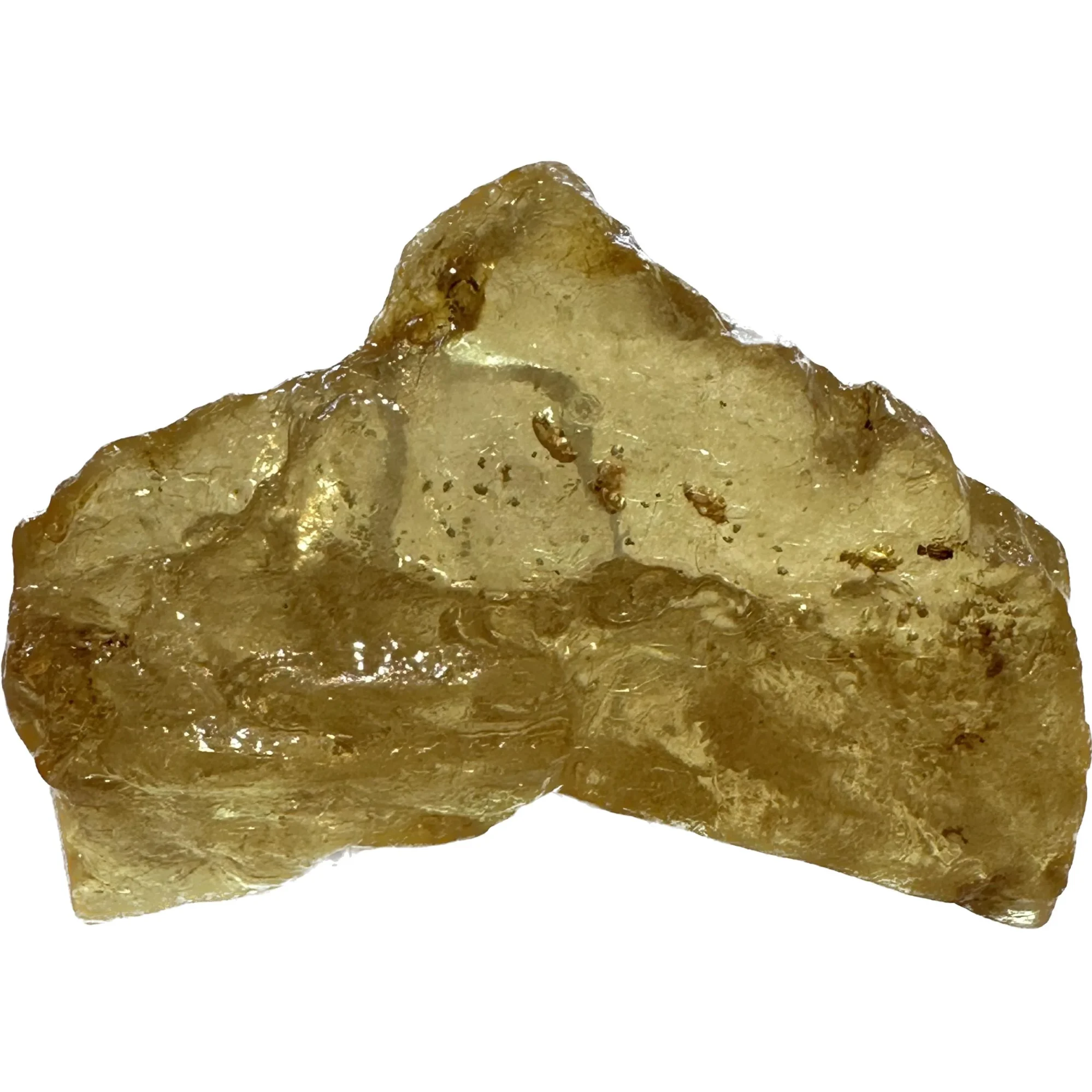 Copal Amber with Bugs Prehistoric Online