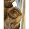 Ammonite display, multiple species Prehistoric Online