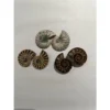 Ammonite sliced pair, 2 1/2″ Prehistoric Online