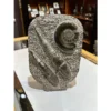 Fossil ammonite and Orthoceras display Prehistoric Online