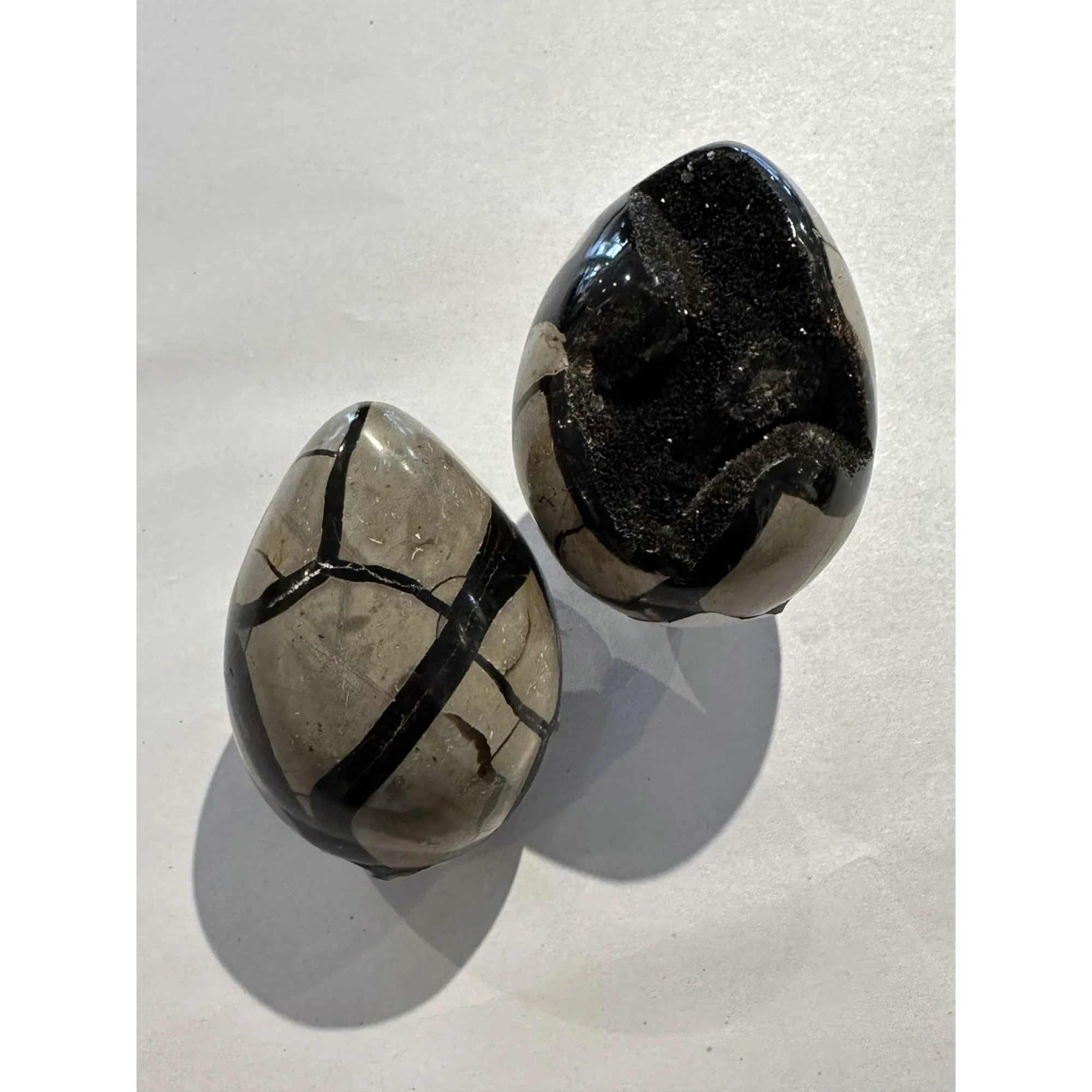 Septarian Dragon Egg,  3-4 inch Prehistoric Online