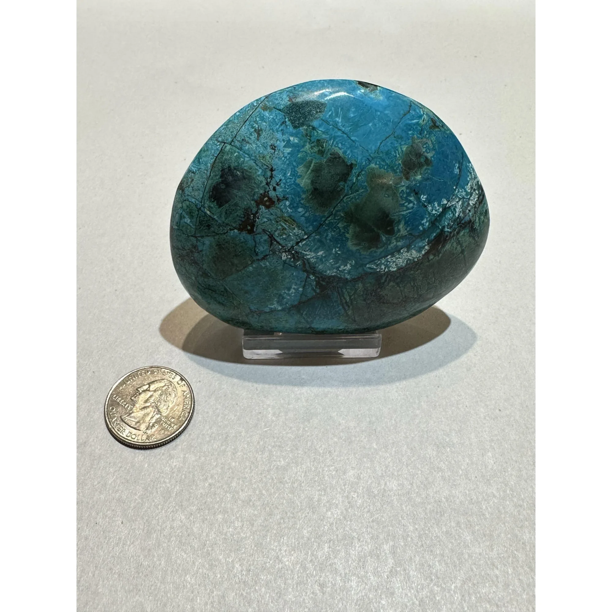 Chrysocolla, Azurite, Malachite display Prehistoric Online