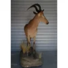 African Hartebeest Antelope Prehistoric Online