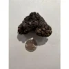 Coprolite (poop), Turtle Prehistoric Online