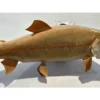 Albino Brook Trout, wall mount Prehistoric Online