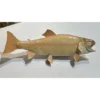 Albino Brook Trout, wall mount Prehistoric Online