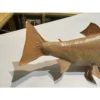 Albino Brook Trout, wall mount Prehistoric Online