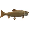 Albino Brook Trout, wall mount Prehistoric Online