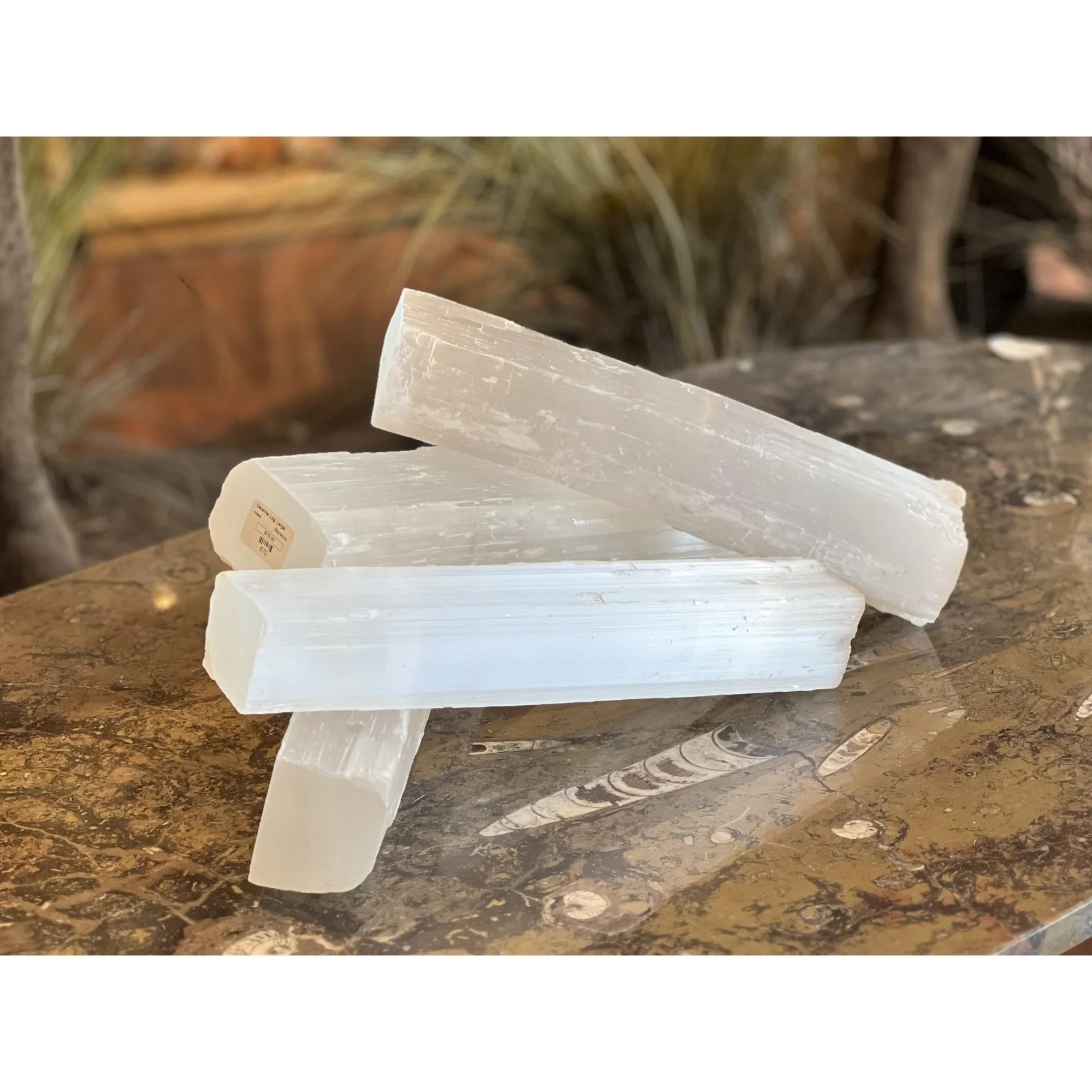 Natural Selenite Log Prehistoric Online