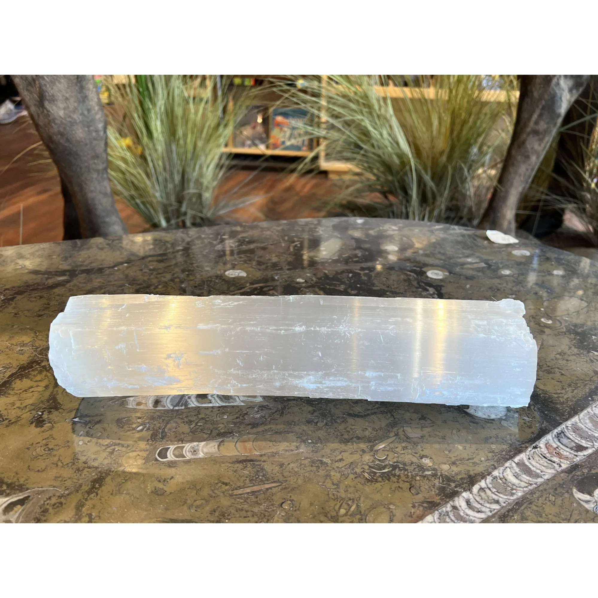 Natural Selenite Log Prehistoric Online