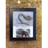 Woolly Mammoth Hair Prehistoric Online