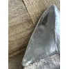 Megalodon Tooth, 4.20 inches Prehistoric Online