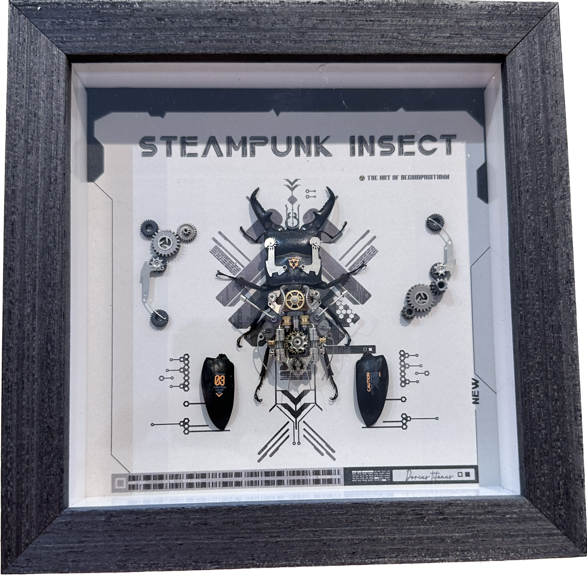 Steampunk Exploded Stag Beetle Prehistoric Online