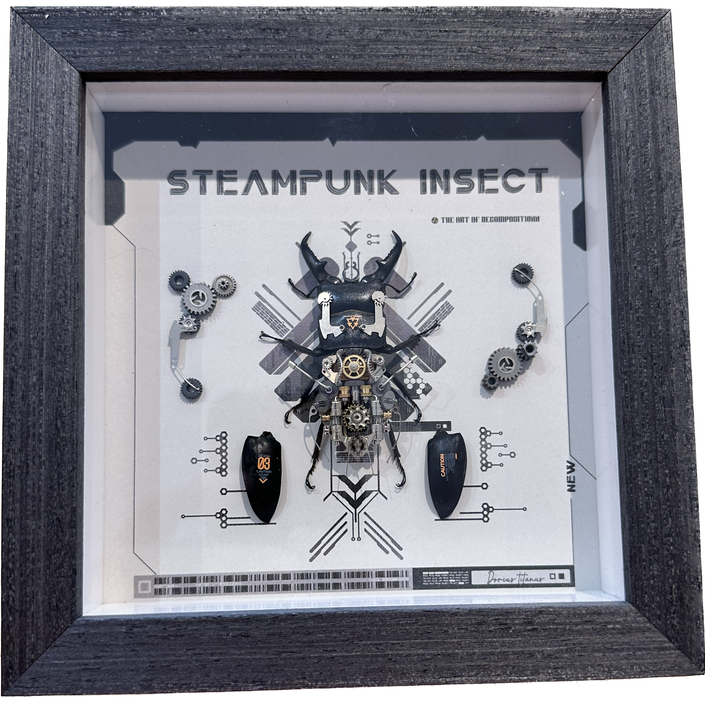 Steampunk Exploded Stag Beetle Prehistoric Online