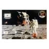 Apollo 11 relics, foil-metal-moon dust Prehistoric Online