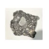 Moon rock, NWA 11428 IMCA registered Prehistoric Online