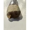 Spinosaurus tooth, Morocco, 5 inches Prehistoric Online