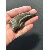 Trex claw Replica, 4 1/2 inches Prehistoric Online