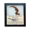 Velociraptor killing claw replica Prehistoric Online