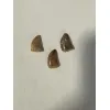 Carcharodontosaurus tooth, gem case Prehistoric Online