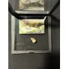 Carcharodontosaurus tooth, gem case Prehistoric Online