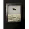 Moldavite, guaranteed 100% natural, Czech Republic Prehistoric Online