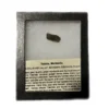 Moldavite, guaranteed 100% natural, Czech Republic Prehistoric Online