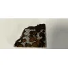 Sericho Meteorite, Stony Iron Pallasite Prehistoric Online