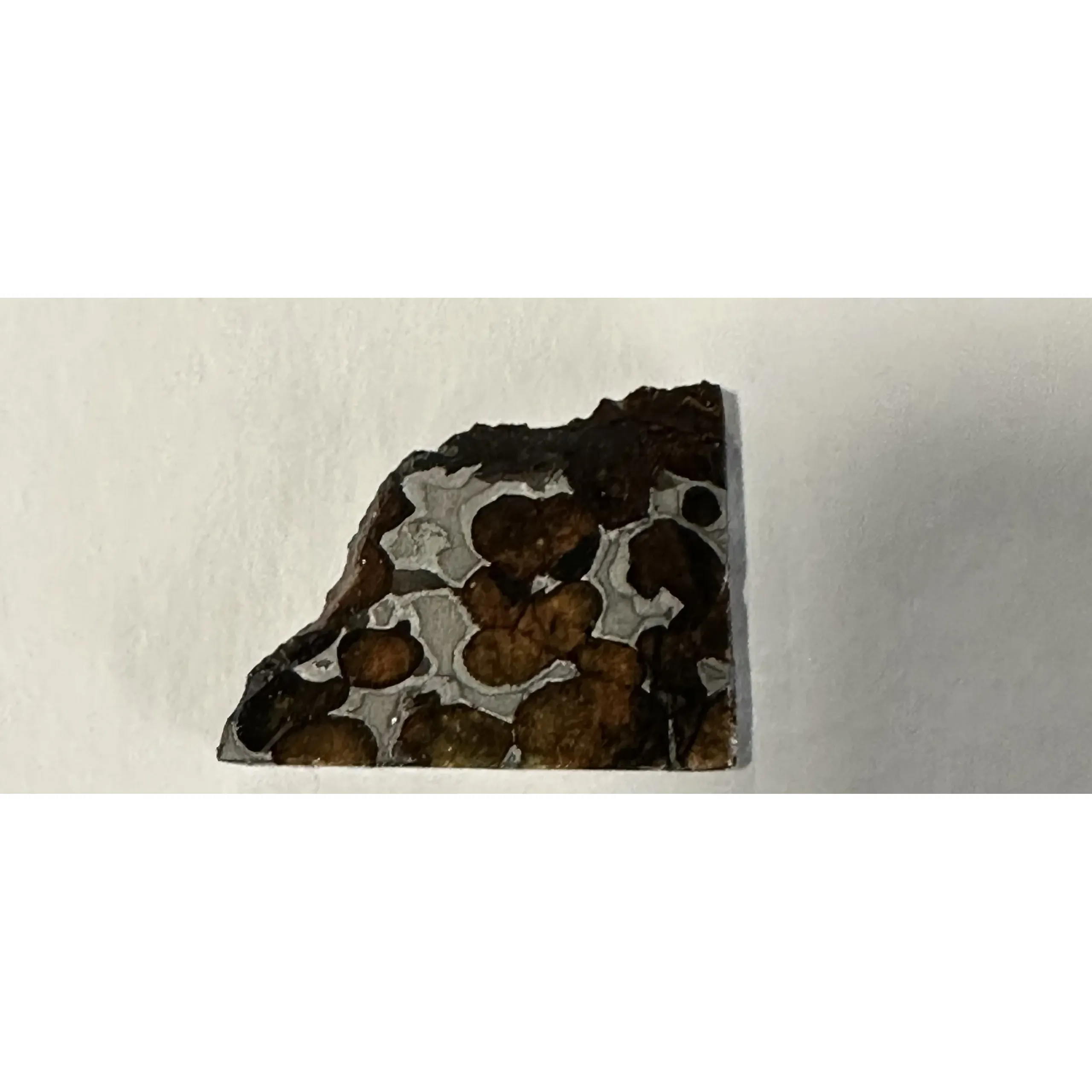 Sericho Meteorite, Stony Iron Pallasite Prehistoric Online