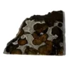 Sericho Meteorite, Stony Iron Pallasite Prehistoric Online